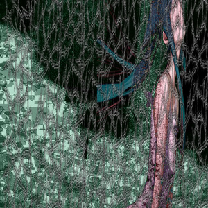 成年女人视频免费观看一
